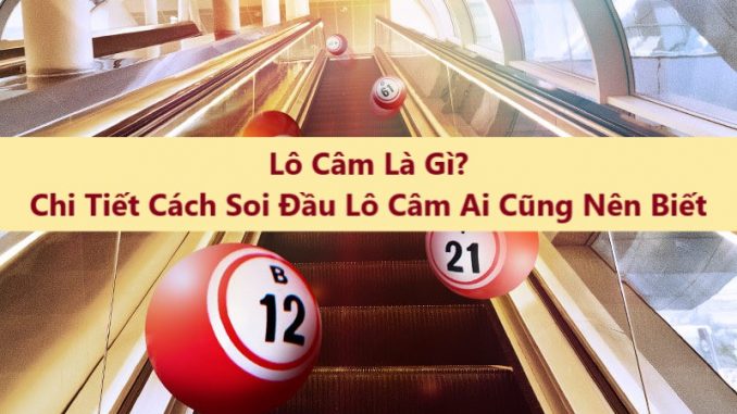 Khái niệm về lô tô câm